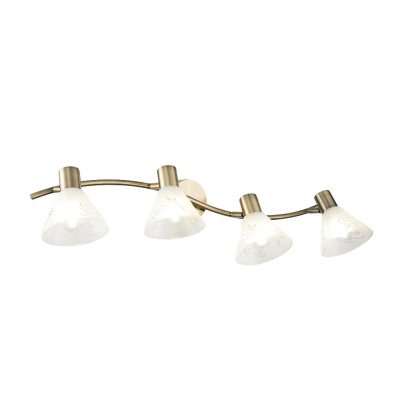 Спот Freya Spot FR7001WL-04BZ