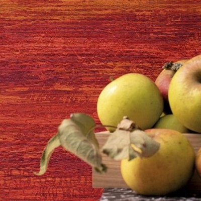 Обои 31041 Marburg Platinum