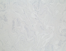 Обои VV71669-14 VOG Экспансия