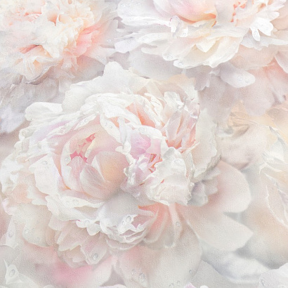 Обои HC71995-25 Home color Pions Home color коллекция Pions производства РОССИЯ в интернет-магазине Обоитрейд