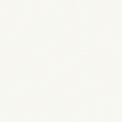 Обои W189101 Rasch Bright Whisper