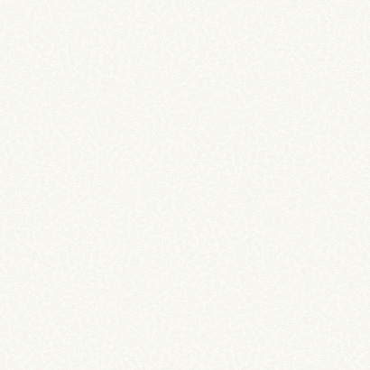 Обои W189101 Rasch Bright Whisper Rasch коллекция Bright Whisper производства  в интернет-магазине Обоитрейд