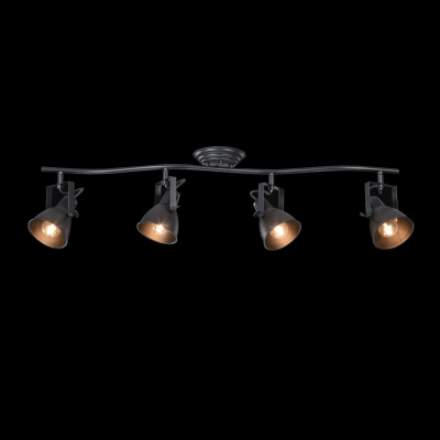 Спот Freya Loft FR4276-CW-04-B