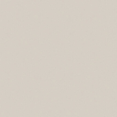 Обои W187004 Rasch Wall Up Step-Up Wall Up коллекция Step-Up производства РОССИЯ в интернет-магазине Обоитрейд