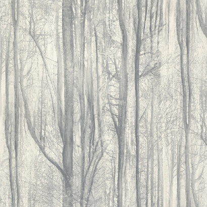 Обои 70392-44 R аспект Акцент Таинственный лес R аспект коллекция Акцент Таинственный лес производства РОССИЯ в интернет-магазине Обоитрейд