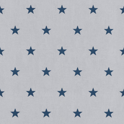 Обои 247602 Rasch Kids&Teens