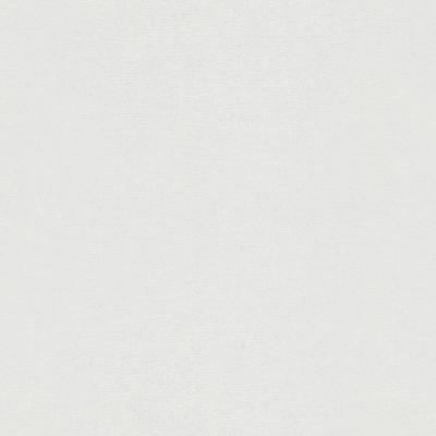 Обои ER12207-01 Erismann Gentle