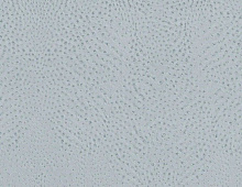 Обои 423600 Rasch African Queen