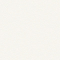 Обои W189102 Rasch Bright Whisper