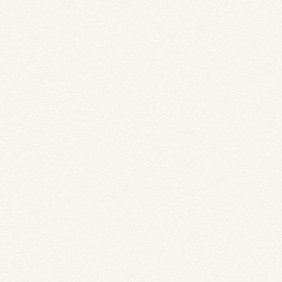 Обои W189102 Rasch Bright Whisper