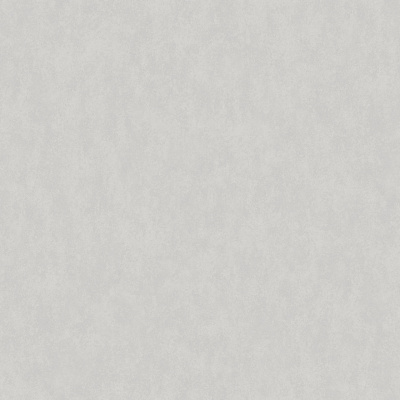 Обои W190023 Rasch Bright Whisper