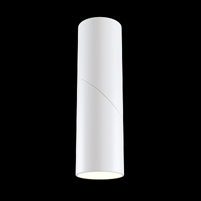 Потолочный светильник Technical Ceiling & Wall C027CL-L10W