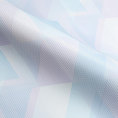 Обои HC71913-56 Palitra Home Color Тримоушн