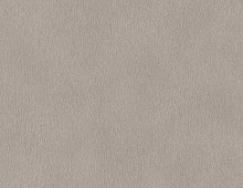 Обои 751062 Rasch Африканская Королева 3