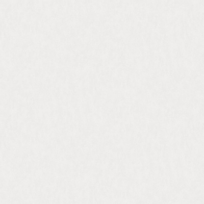 Обои W190013 Rasch Bright Whisper