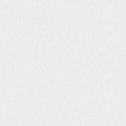 Обои W190013 Rasch Bright Whisper Rasch коллекция Bright Whisper производства  в интернет-магазине Обоитрейд