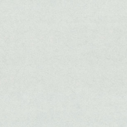 Обои 7309-03 Euro Decor Era 2 Euro Decor коллекция Era 2 производства РОССИЯ в интернет-магазине Обоитрейд