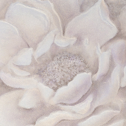 Обои PL72255-65 Палитра Valencia Палитра коллекция Valencia производства РОССИЯ в интернет-магазине Обоитрейд