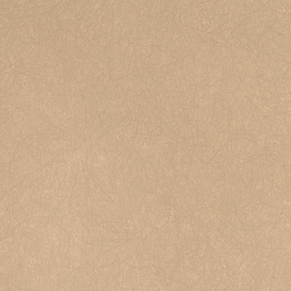 Обои 5068-41 Bernardo Bartalucci Legend Bernardo Bartalucci коллекция Legend производства Италия в интернет-магазине Обоитрейд