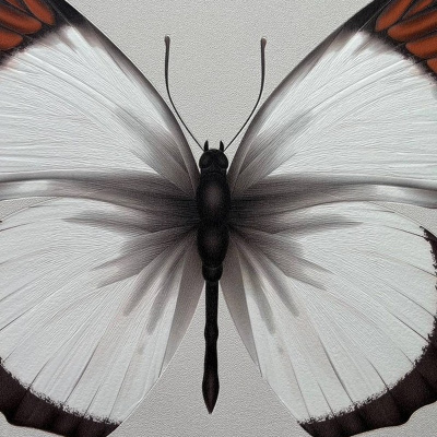 Обои 54401-3 Andrea Rossi Cheradi