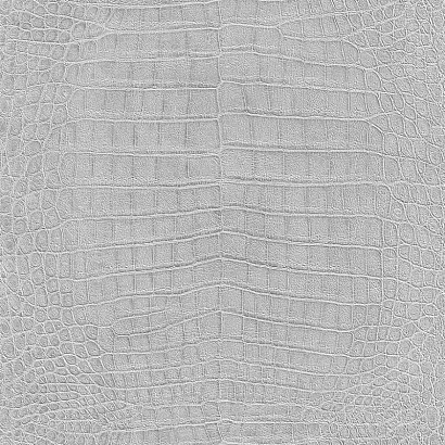 Обои 474145 Rasch Mandalay Rasch коллекция Mandalay производства Германия в интернет-магазине Обоитрейд