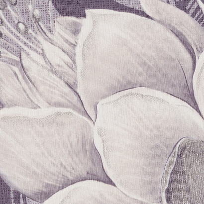 Обои HC72241-56 Home color Exotica Home color коллекция Exotica производства РОССИЯ в интернет-магазине Обоитрейд