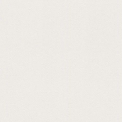 Обои 247534 Rasch Kids&Teens