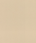 Обои 977608 Rasch Incanto