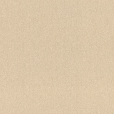 Обои 977608 Rasch Incanto