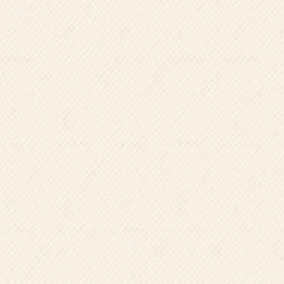 Обои WP0110305 Paper Partnership Patterdale