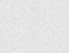 Обои RC17094 Roberto Cavalli Home 6