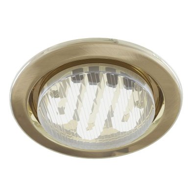 Встраиваемый светильник Technical Downlight DL293-01-BZ