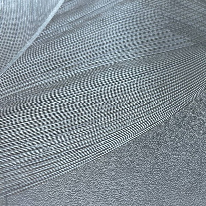 Обои 7216-00 Euro Decor Phoenix Euro Decor коллекция Phoenix производства РОССИЯ в интернет-магазине Обоитрейд