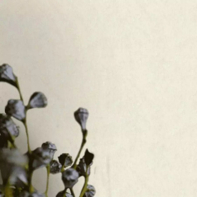 Обои 37381-4 AS Creation Deluxe