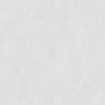 Обои W197003 Rasch Bright Whisper