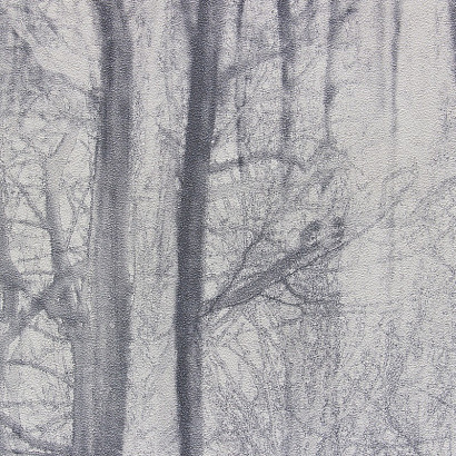 Обои 70392-44 R аспект Акцент Таинственный лес R аспект коллекция Акцент Таинственный лес производства РОССИЯ в интернет-магазине Обоитрейд