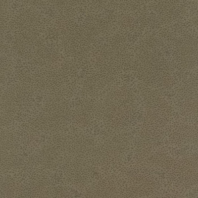 Обои 422078 Rasch Miracle