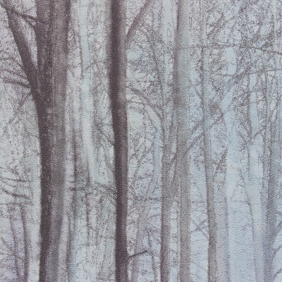 Обои 70392-26 R аспект Акцент Таинственный лес
