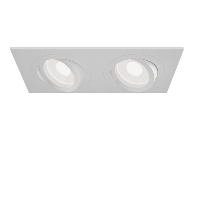 Встраиваемый светильник Technical Downlight DL024-2-02W