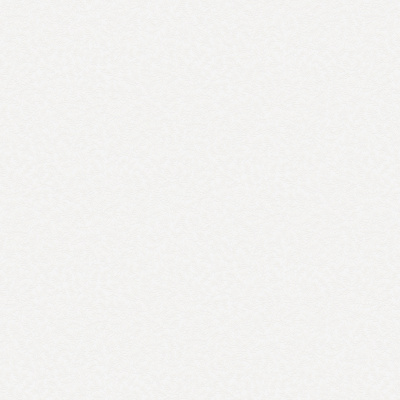 Обои W189126 Rasch Bright Whisper