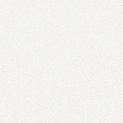 Обои W189126 Rasch Bright Whisper Rasch коллекция Bright Whisper производства  в интернет-магазине Обоитрейд