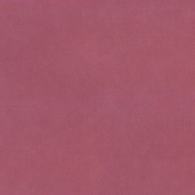 Обои 15023-10 Alessandro Allori Argiano