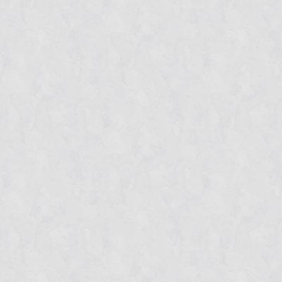 Обои W197003 Rasch Bright Whisper