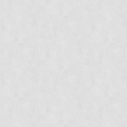 Обои W197003 Rasch Bright Whisper Rasch коллекция Bright Whisper производства  в интернет-магазине Обоитрейд