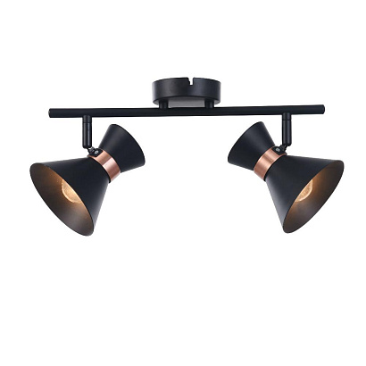 Спот Freya Loft FR4273-CW-02-B