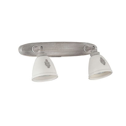 Спот Maytoni Spot SP289-CW-02-BG