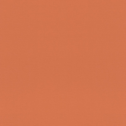 Обои 687569 Rasch Tropical House / Allegretto Rasch коллекция Tropical House производства Германия в интернет-магазине Обоитрейд