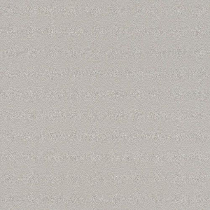 Обои 700350 Rasch Kids&Teens Rasch коллекция Kids&Teens производства Германия в интернет-магазине Обоитрейд