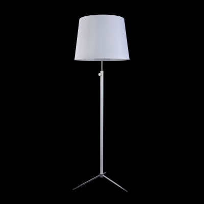 Торшер Maytoni Modern MOD323-FL-01-W