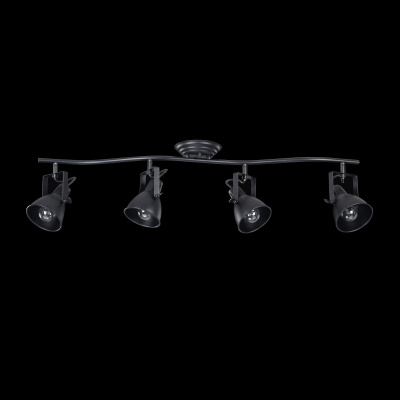 Спот Freya Loft FR4276-CW-04-B